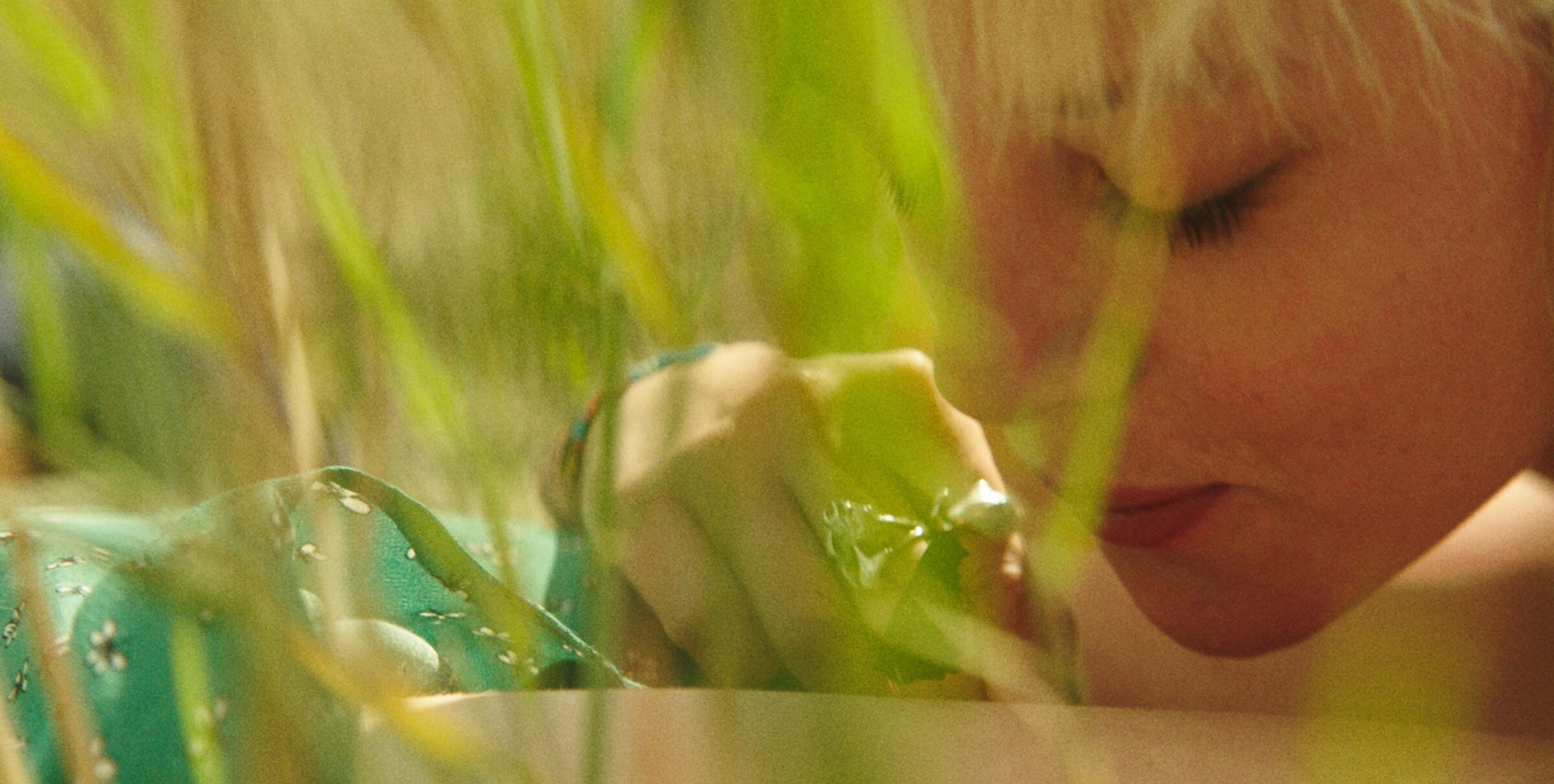 m-appeal_Cocoon