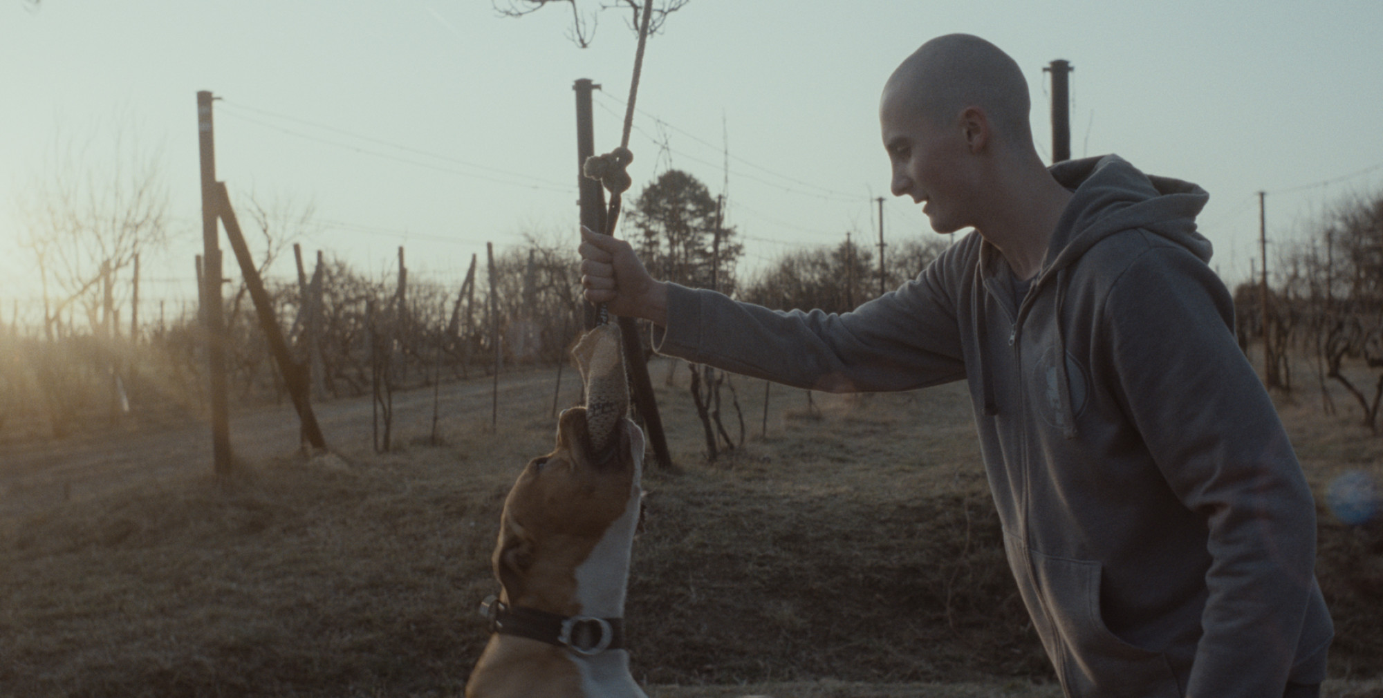 m-appeal_My Dog Killer