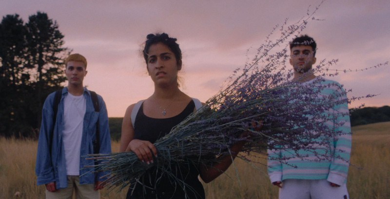 Thumbnail for NO HARD FEELINGS receives cinematography award