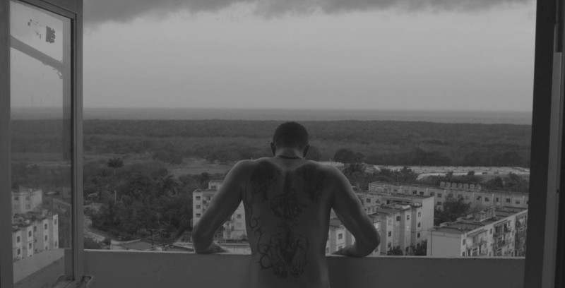 Thumbnail for Three of our films get awards